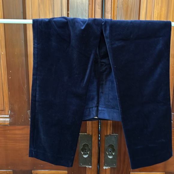 Kate Spade Sz 2 Blue Velvet Cigarette Pants - Picture 5 of 5